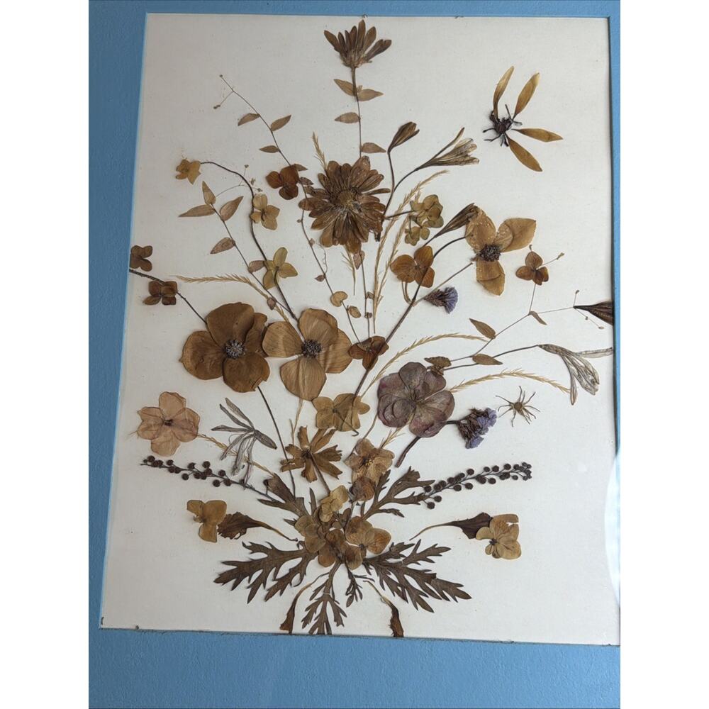 Vintage Gold Framed Pressed Flower Art Real Dried Botanical Wildflower WallDecor - Picture 3 of 7